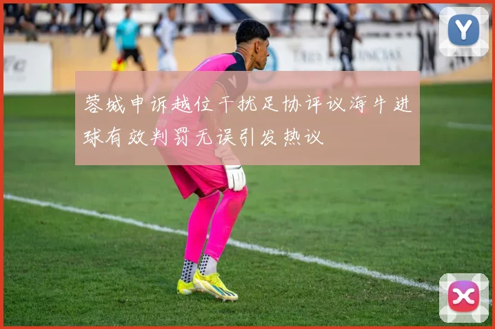 蓉城申诉越位干扰足协评议海牛进球有效判罚无误引发热议